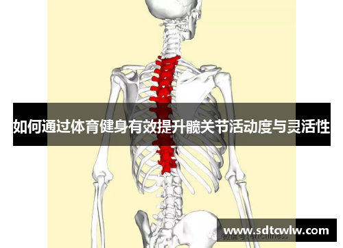 如何通过体育健身有效提升髋关节活动度与灵活性