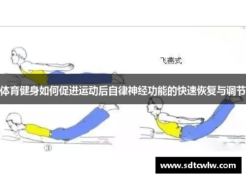 体育健身如何促进运动后自律神经功能的快速恢复与调节