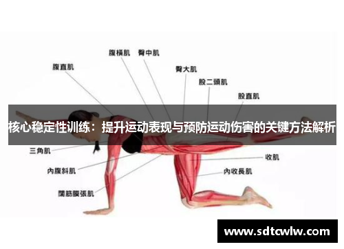核心稳定性训练：提升运动表现与预防运动伤害的关键方法解析