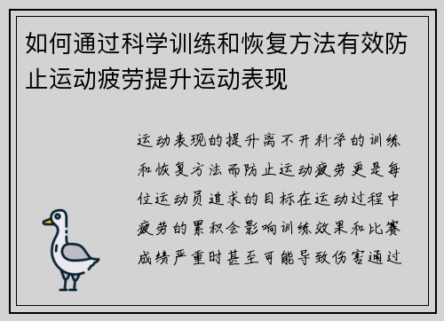 如何通过科学训练和恢复方法有效防止运动疲劳提升运动表现