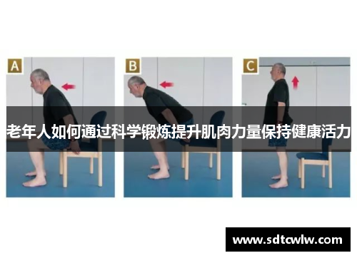 老年人如何通过科学锻炼提升肌肉力量保持健康活力