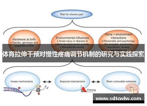 体育拉伸干预对慢性疼痛调节机制的研究与实践探索