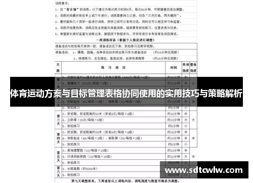 体育运动方案与目标管理表格协同使用的实用技巧与策略解析