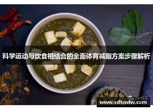科学运动与饮食相结合的全面体育减脂方案步骤解析