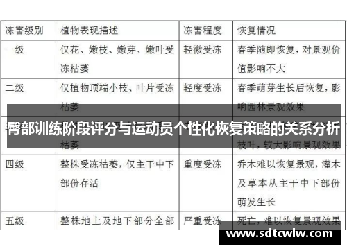 臀部训练阶段评分与运动员个性化恢复策略的关系分析